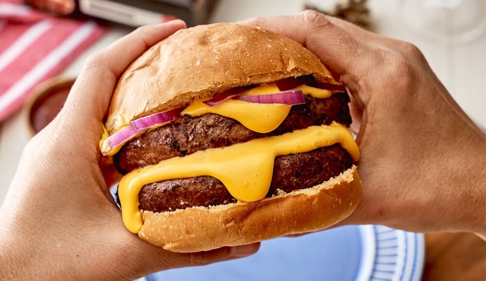 blend para hamburguer